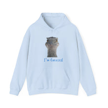 Load image into Gallery viewer, Unisex Heavy Blend™ Hooded Sweatshirt