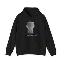 Load image into Gallery viewer, Unisex Heavy Blend™ Hooded Sweatshirt