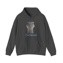 Load image into Gallery viewer, Unisex Heavy Blend™ Hooded Sweatshirt