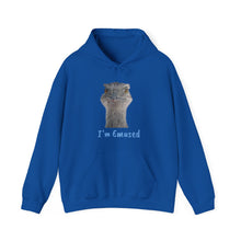 Load image into Gallery viewer, Unisex Heavy Blend™ Hooded Sweatshirt