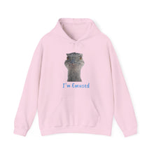 Load image into Gallery viewer, Unisex Heavy Blend™ Hooded Sweatshirt
