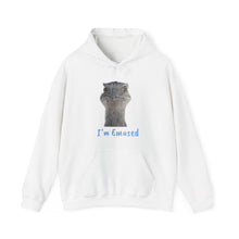 Load image into Gallery viewer, Unisex Heavy Blend™ Hooded Sweatshirt