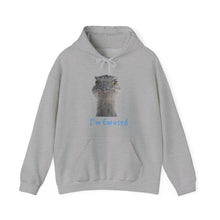 Load image into Gallery viewer, Unisex Heavy Blend™ Hooded Sweatshirt