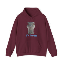 Load image into Gallery viewer, Unisex Heavy Blend™ Hooded Sweatshirt