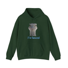 Load image into Gallery viewer, Unisex Heavy Blend™ Hooded Sweatshirt