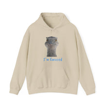 Load image into Gallery viewer, Unisex Heavy Blend™ Hooded Sweatshirt