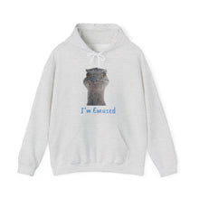 Load image into Gallery viewer, Unisex Heavy Blend™ Hooded Sweatshirt