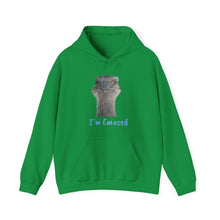 Load image into Gallery viewer, Unisex Heavy Blend™ Hooded Sweatshirt