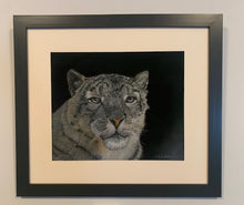 Load image into Gallery viewer, Snow Leopard
