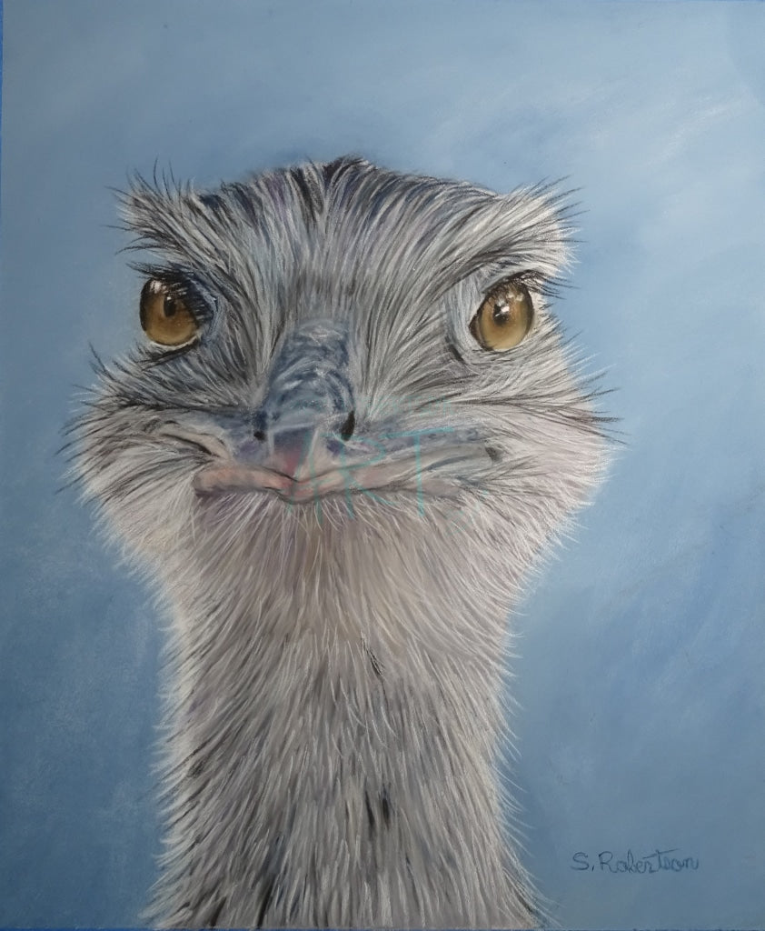 Emu Face 8