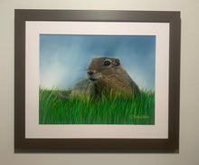 Load image into Gallery viewer, Grass Connoisseur Originals

