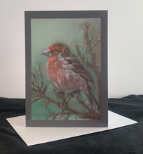Load image into Gallery viewer, &#39;House Finch&#39; 5&quot; X 7&quot; Card
