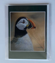 Load image into Gallery viewer, &#39;Puffin&#39; 5&quot; X 7&quot; Card
