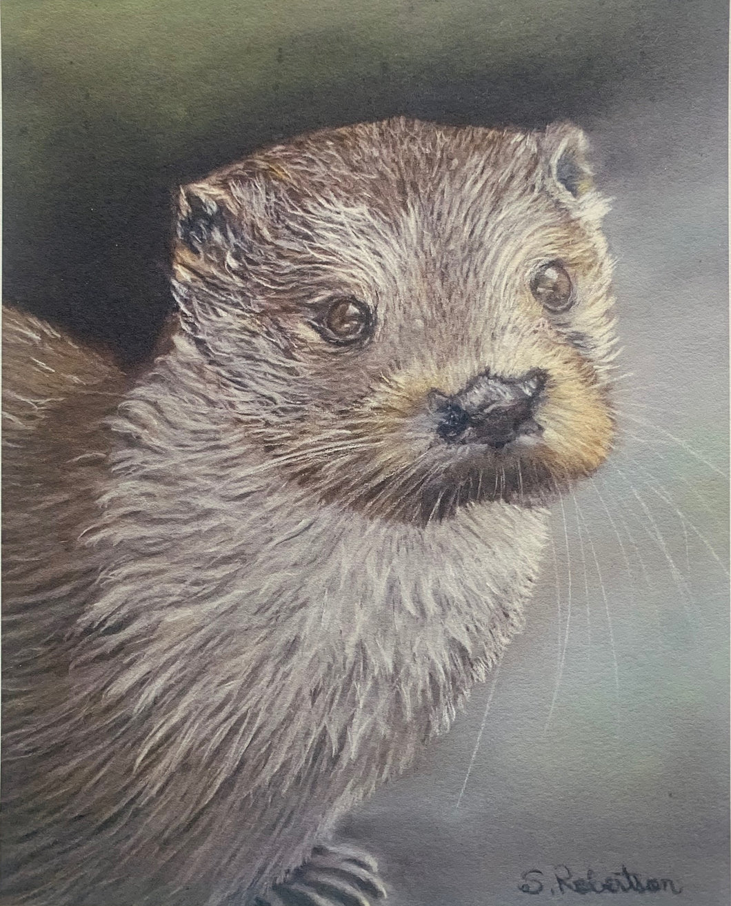 'River Otter'  8