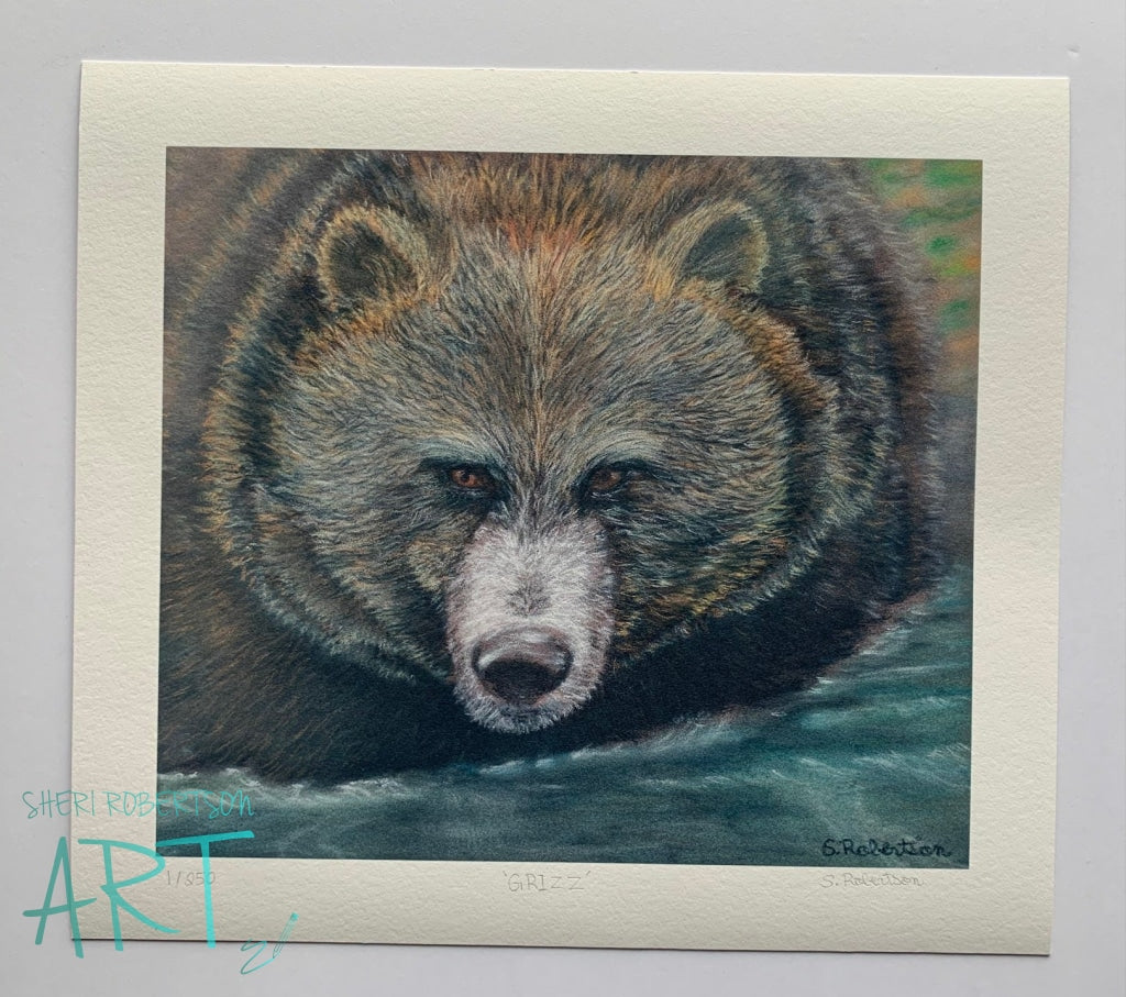 Grizz Giclee Prints And Giclees